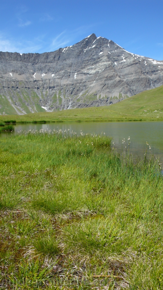 Arete du Franchet 10